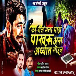 Ka Gel Mala Maze Pakharu Aas Aardhyat Sodun