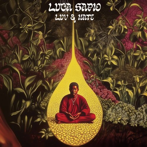 Luv & Hate cover art
