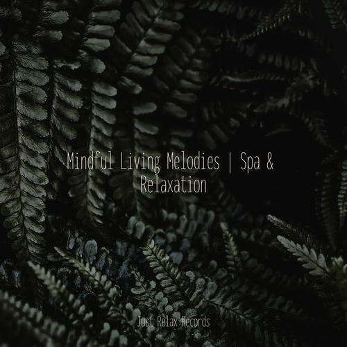 Mist Laced Tranquility cover art