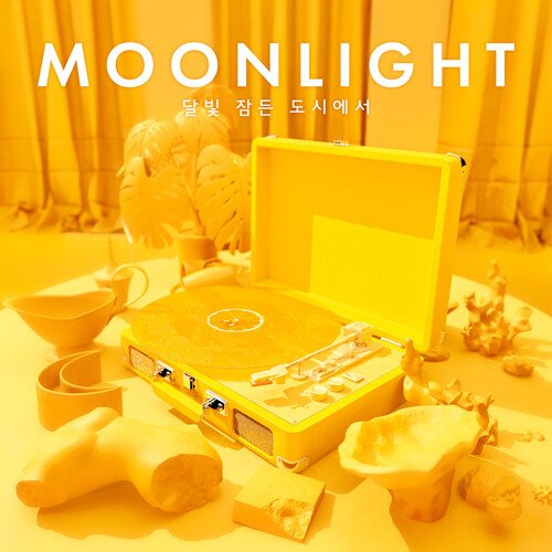 Moonlight: In the moonlit city