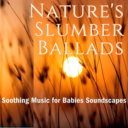 Baby Lullaby in the Rustling Leaves cover art