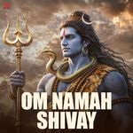 Om Namah Shivay