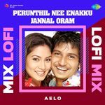 Perunthil Nee Enakku Jannal Oram - Lofi Mix