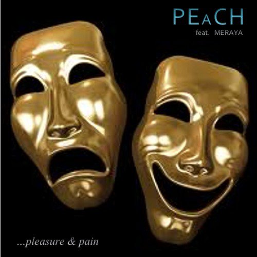 Pleasure & Pain (feat. Meraya)
