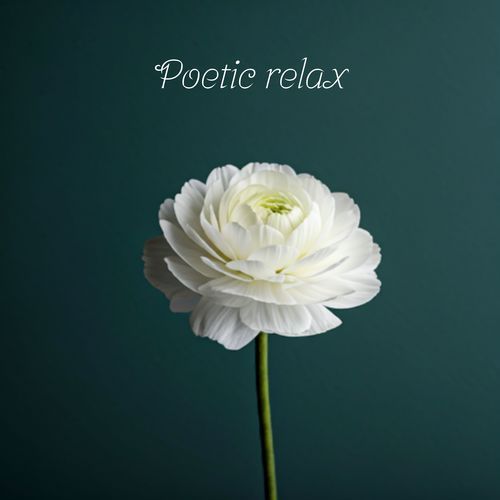 Poetic Relax: Tranquil Anti-Stress Moments with Piano_poster_image