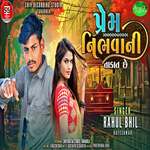 Prem Nibhava Ni Takat Che