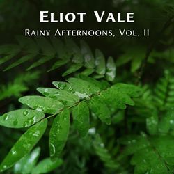 Low Volume Feelings &amp; Gentle Rain