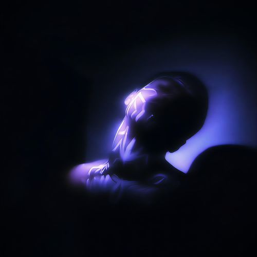 Velcro cover art