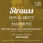 Don Quixote, Op. 35, IRS 18