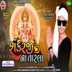 Shankarji Na Tarla