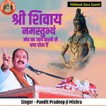 Shri Shivay Namstubhyam Mantr Ka Jaap Karne Se Kya Hota Hai artwork
