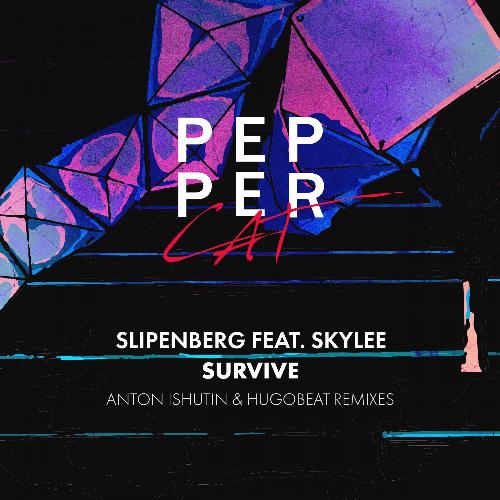 Survive (Anton Ishutin Remix) cover art