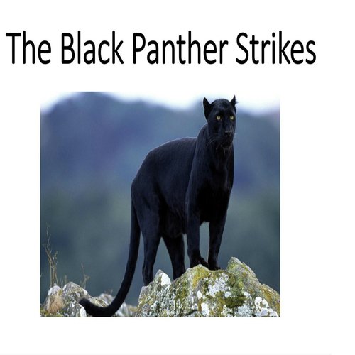 The Black Panther Strikes cover art