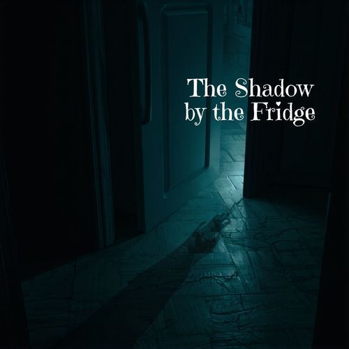 The Shadow by the Fridge