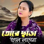 Tore Chara Vallagena