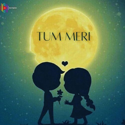 Tum Meri