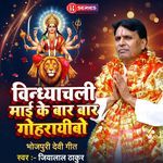 Vindhyachali Maai Ke Baar Baar Gohraeebo