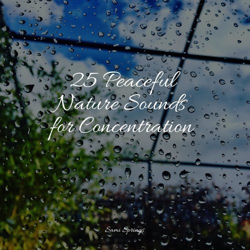 25 Peaceful Nature Sounds for Concentration_poster_image