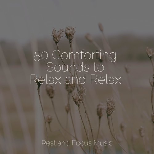 50 Comforting Sounds to Relax and Relax