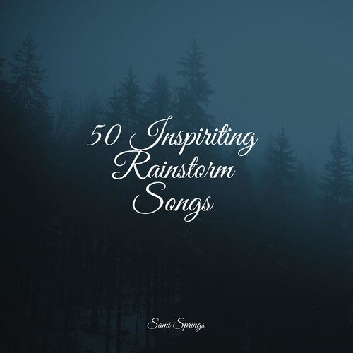 50 Inspiriting Rainstorm Songs_poster_image