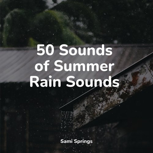 50 Sounds of Summer Rain Sounds_poster_image