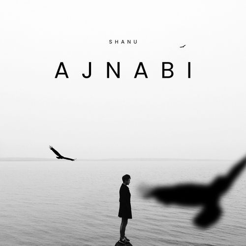 AJNABI