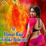 Ae Hamar Raja Tohake Bolavata