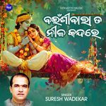 Bainshi Bala Ta Nilakandare