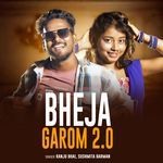 Bheja Garom 2.0