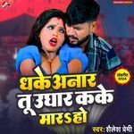 Dhake Anar Tu Ughar Kake Mara Na