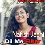 Dil Me Filter (Mewati)
