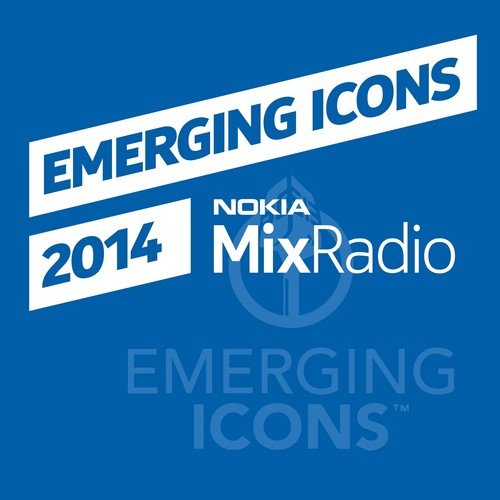 Emerging Icons 2014_poster_image