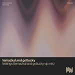 Feelings (Temazkal & Gotlucky VIP Mix)