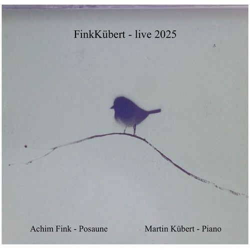 Fink Kübert (Live 2025)