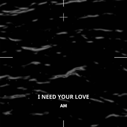 I Need Your Love