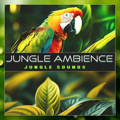 Calming Serenity cover art