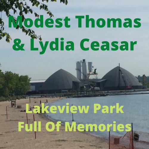 Lakeview Park Full of Memories_poster_image