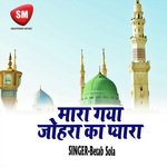 Mara Gaya Johara Ka Pyara (Islamic Naat Song)