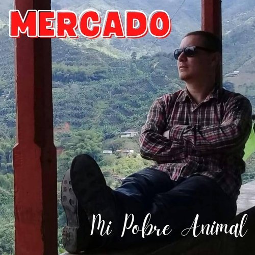 Mi Pobre Animal