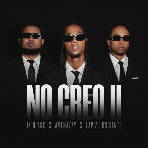 No Creo II_poster_image