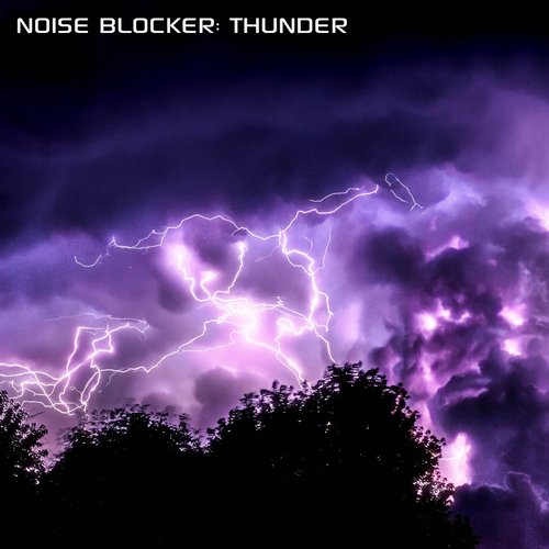 Noise Blocker: Thunder (feat. Discovery Nature Sound, Discovery White Noise, White Noise Soundscapes, Thunder & Rain Sounds & Discovery Forest Soundscapes)_poster_image