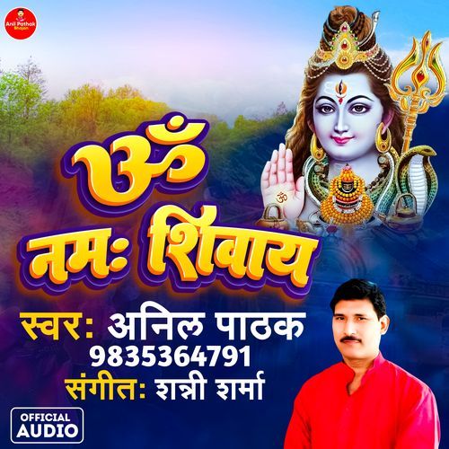 Om Namah Shivay