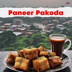 Paneer Pakoda-JzIaUyB0VgE