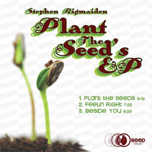 Plant The Seeds ft Trinidadian Deep