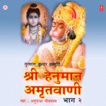 Shree Hanuman Amritwani