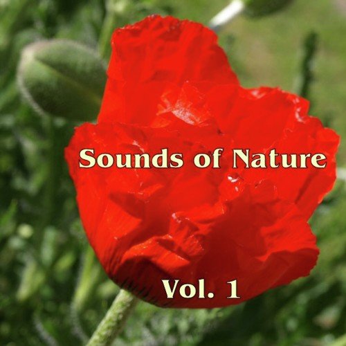 Sounds Of Nature Vol. 1