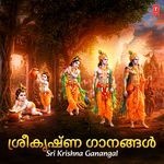 Nama Sangeerthanam (From "Sri Guruvayurappan Ghanangal")