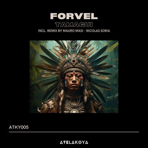 Tamagui (Mauro Masi Remix) cover art