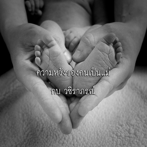 My Image 24