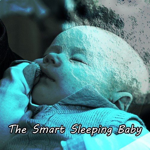 The Smart Sleeping Baby